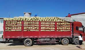 專(zhuān)業(yè)物流運(yùn)輸，保障發(fā)貨快速順暢